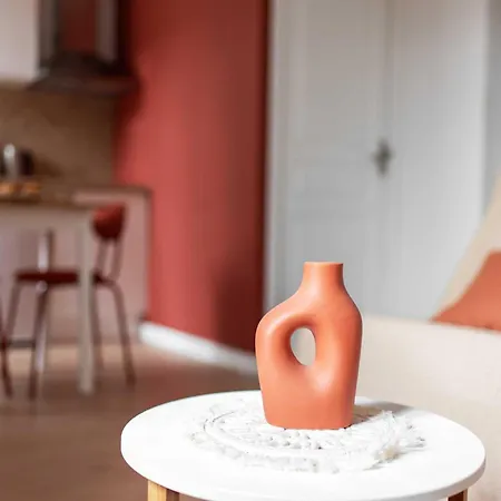 Apartamento Agreable Cosy Entierement Renove Mazamet