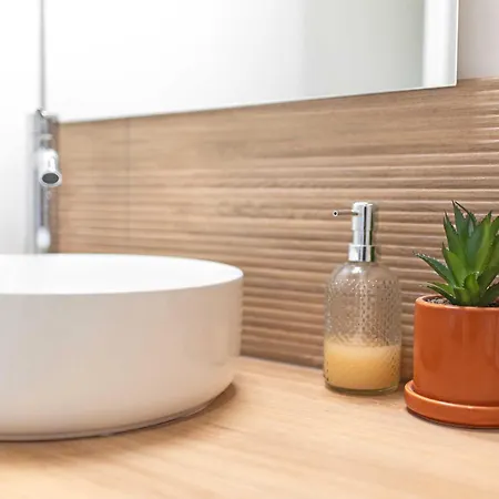 Agreable Cosy Entierement Renove * Mazamet