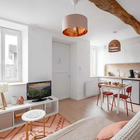 Agreable Cosy Entierement Renove Apartment *