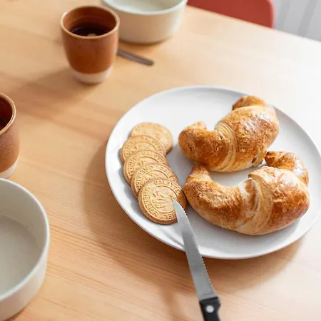 Agreable Cosy Entierement Renove * Mazamet